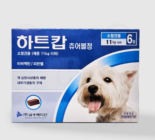 엔젤세이버 이미지