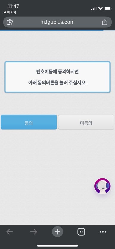 모요 이미지