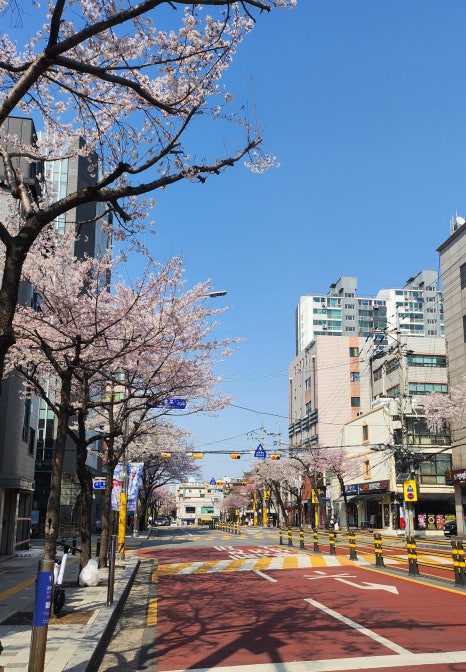 수퍼마켓플라워 이미지