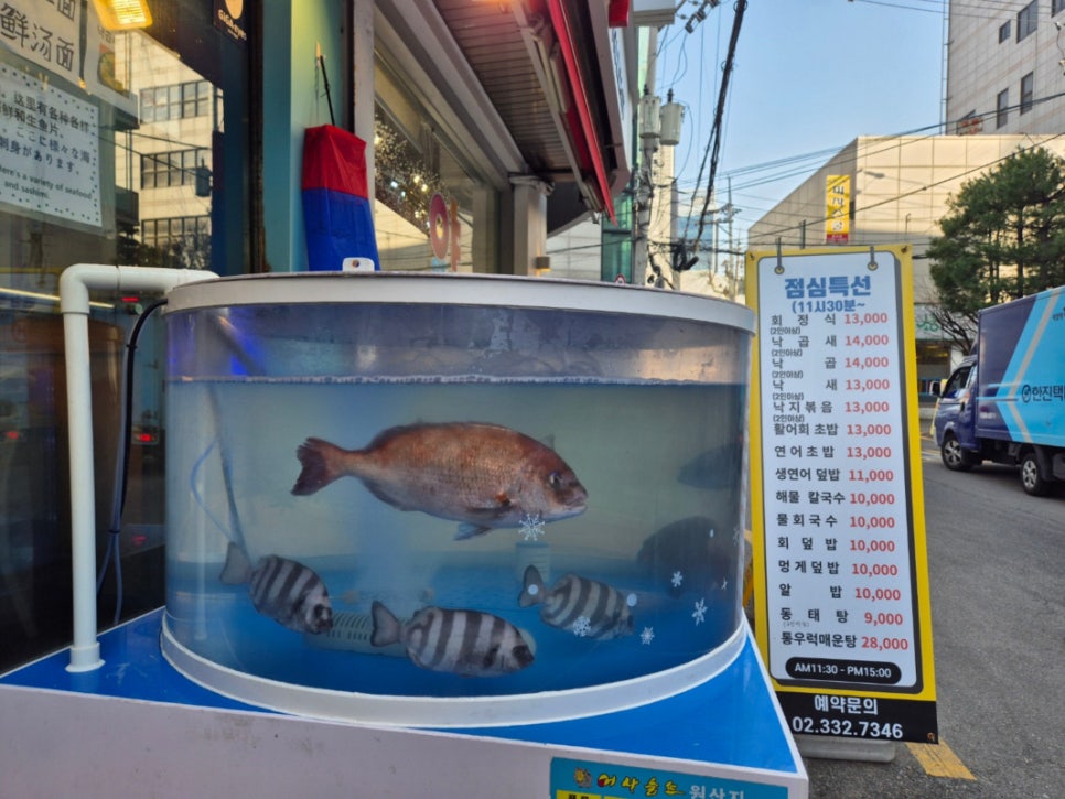홍대 수족관 이미지