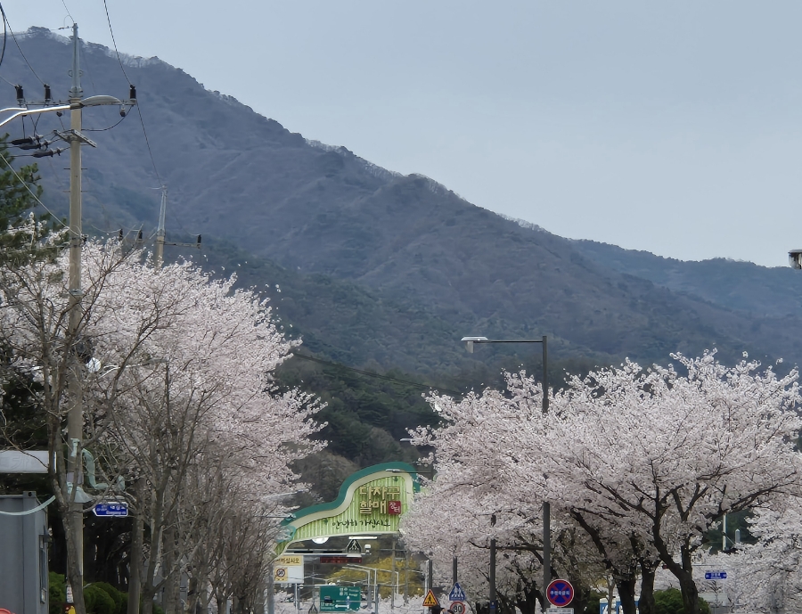 장성반점 이미지