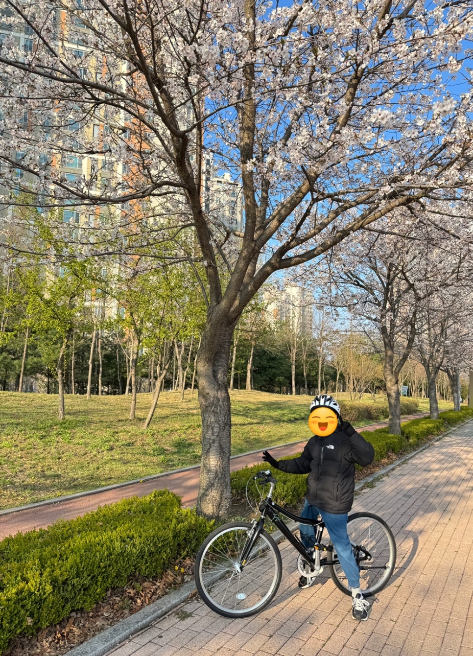 광이네 이미지