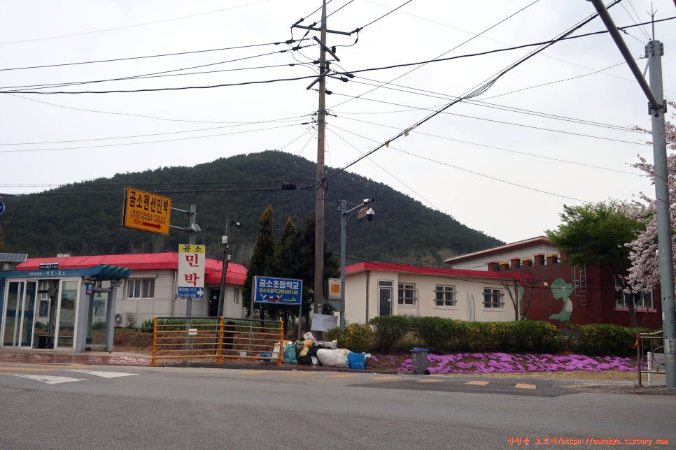 변산자연휴양림 이미지