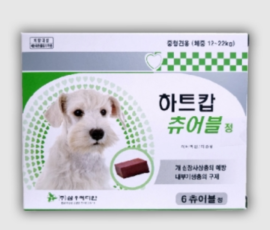 엔젤세이버 이미지