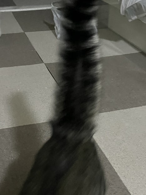 일월육일포항두호점 이미지