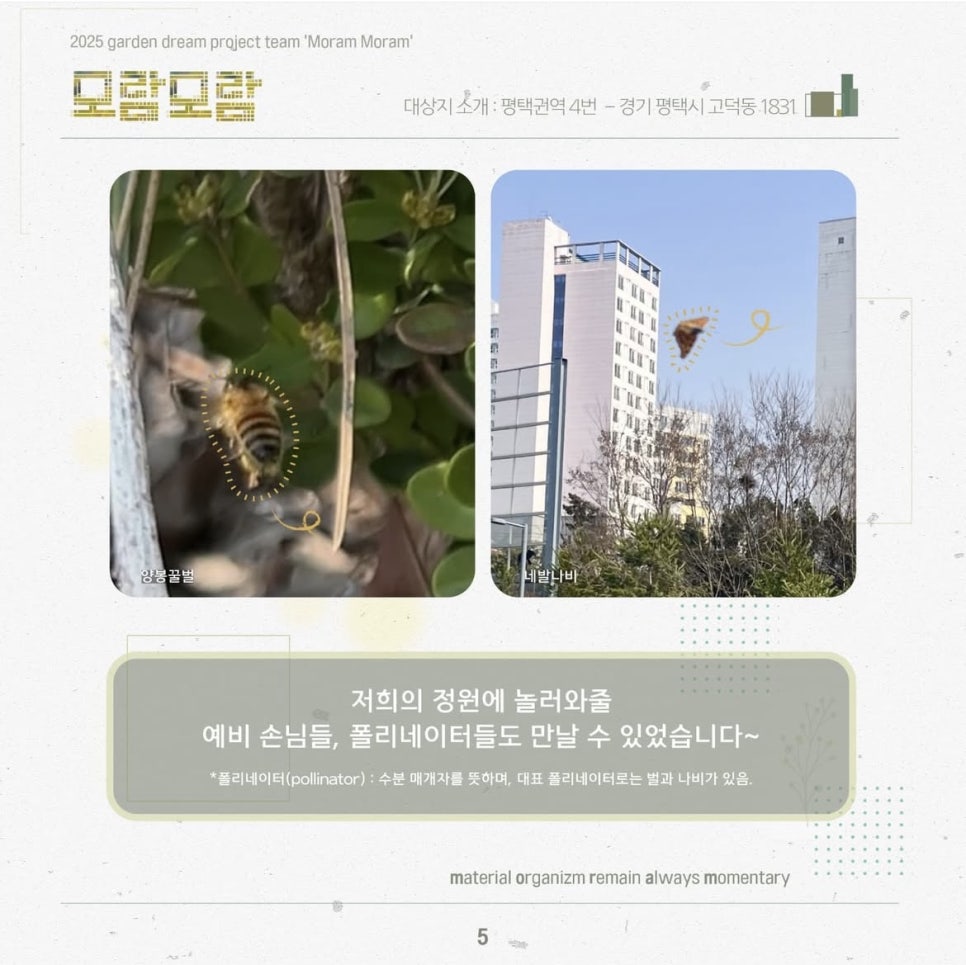 모람모람 이미지