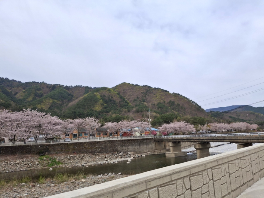 삼척엘림캠핑장 이미지
