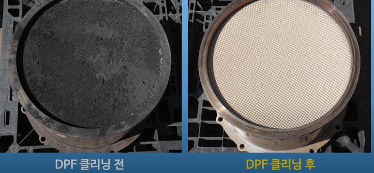 보쉬카랜드 이미지