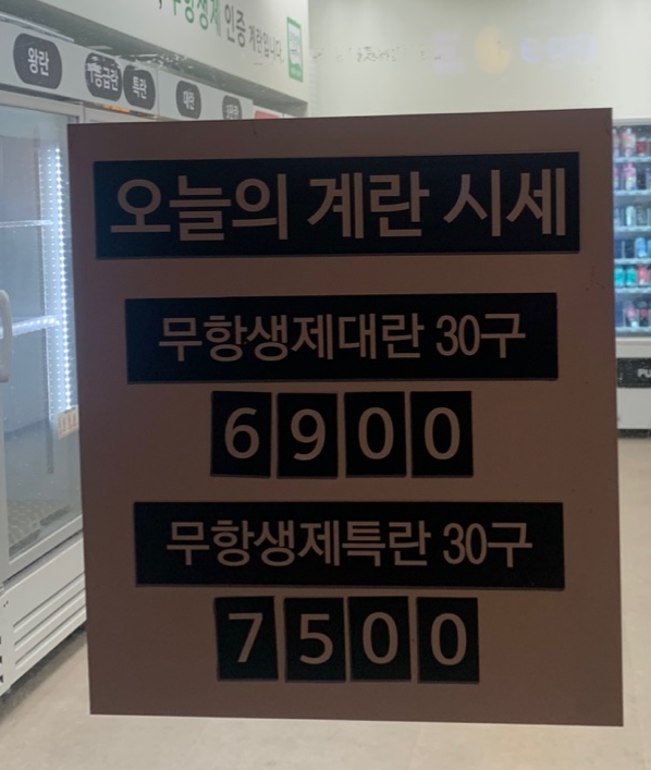 에그플 이미지