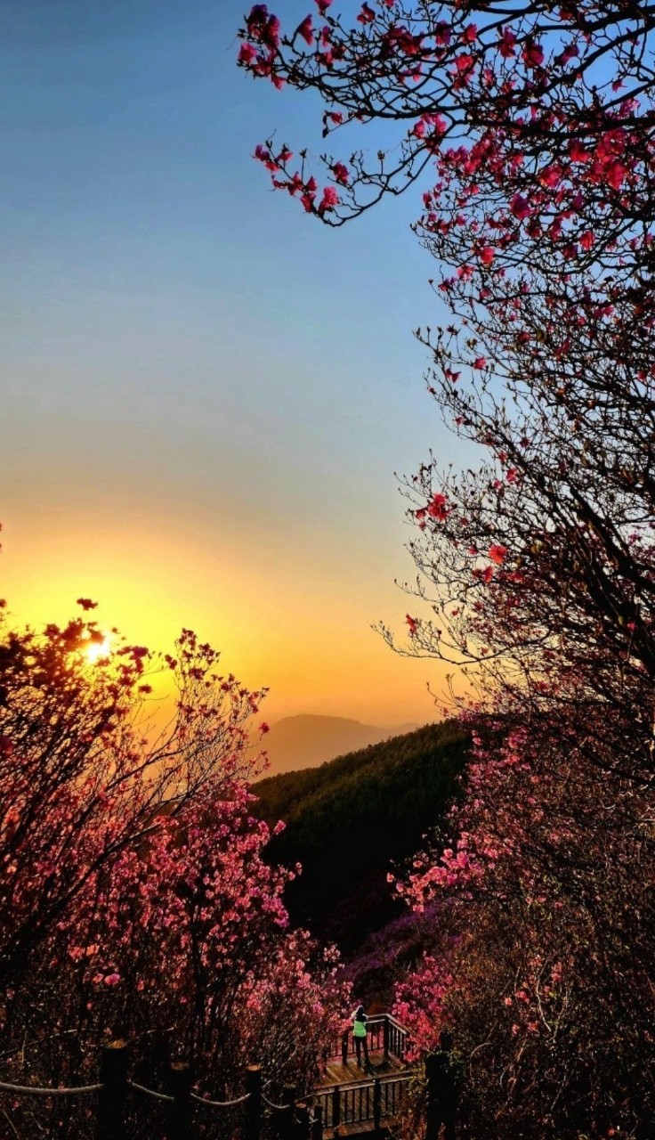 한*한 이미지