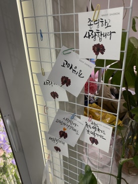 청주꽃집꽃대박 이미지