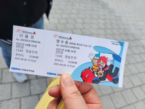 수에르테 이미지