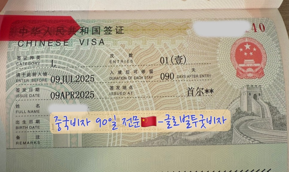 글로벌투굿비자 이미지