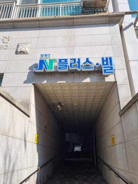 핌플라워 이미지