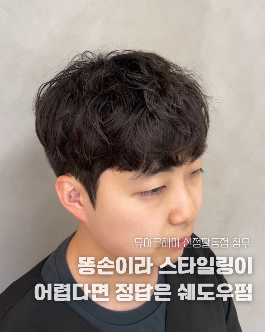 신정수석 이미지