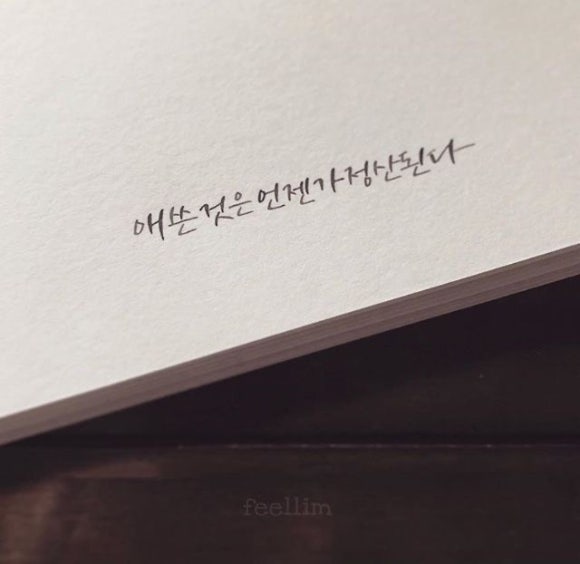 하루눈썹 이미지