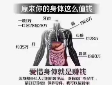 하얼빈테라피 이미지