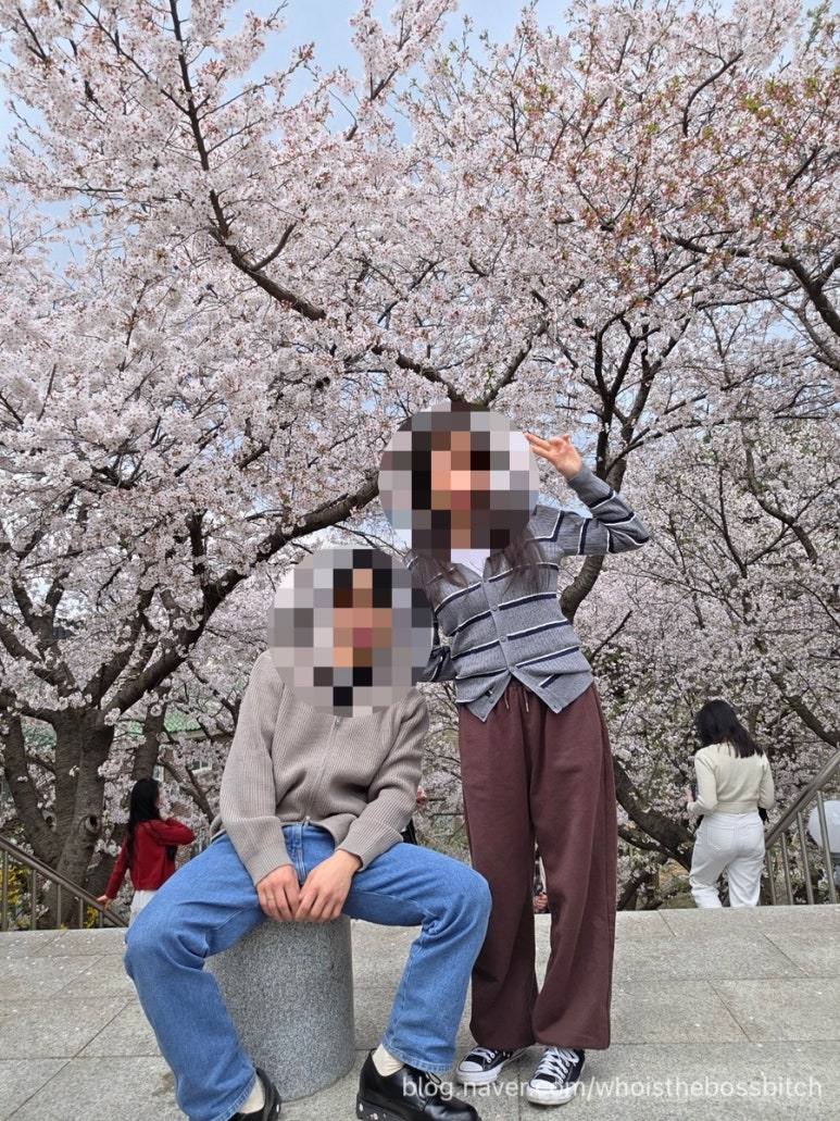 그라찌에순천향대피닉스 이미지