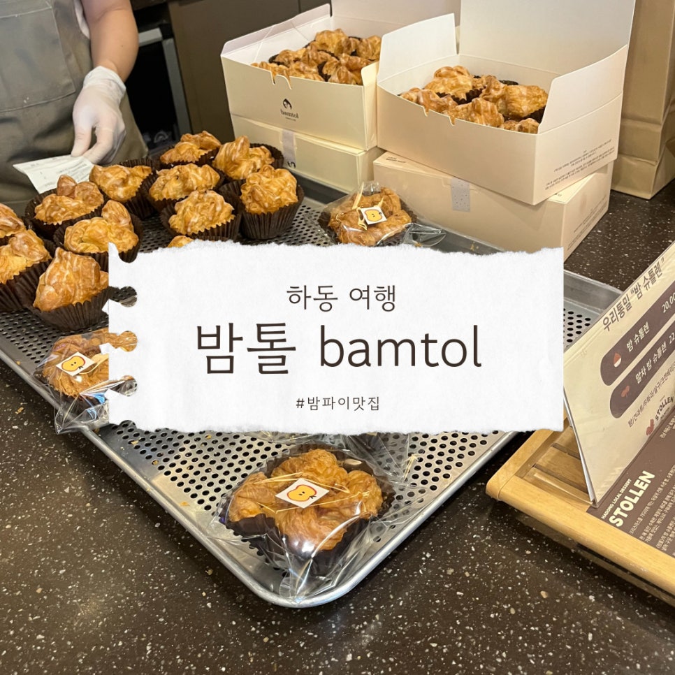 bamtol(밤톨) 이미지
