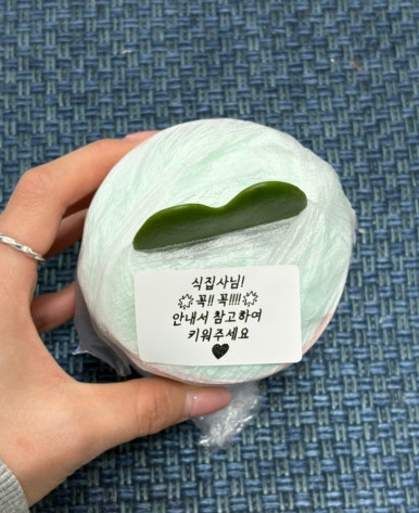 피엘피 이미지