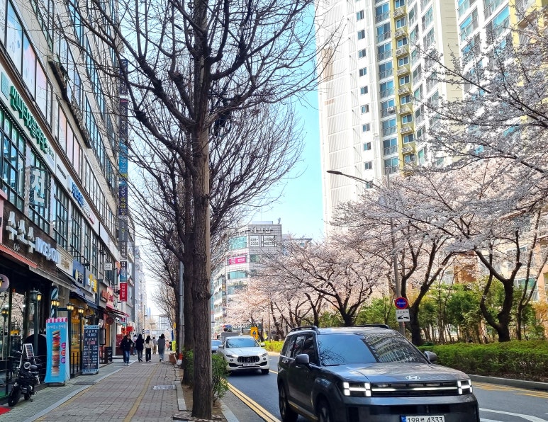 스텔라 떡볶이 인천구월점 이미지