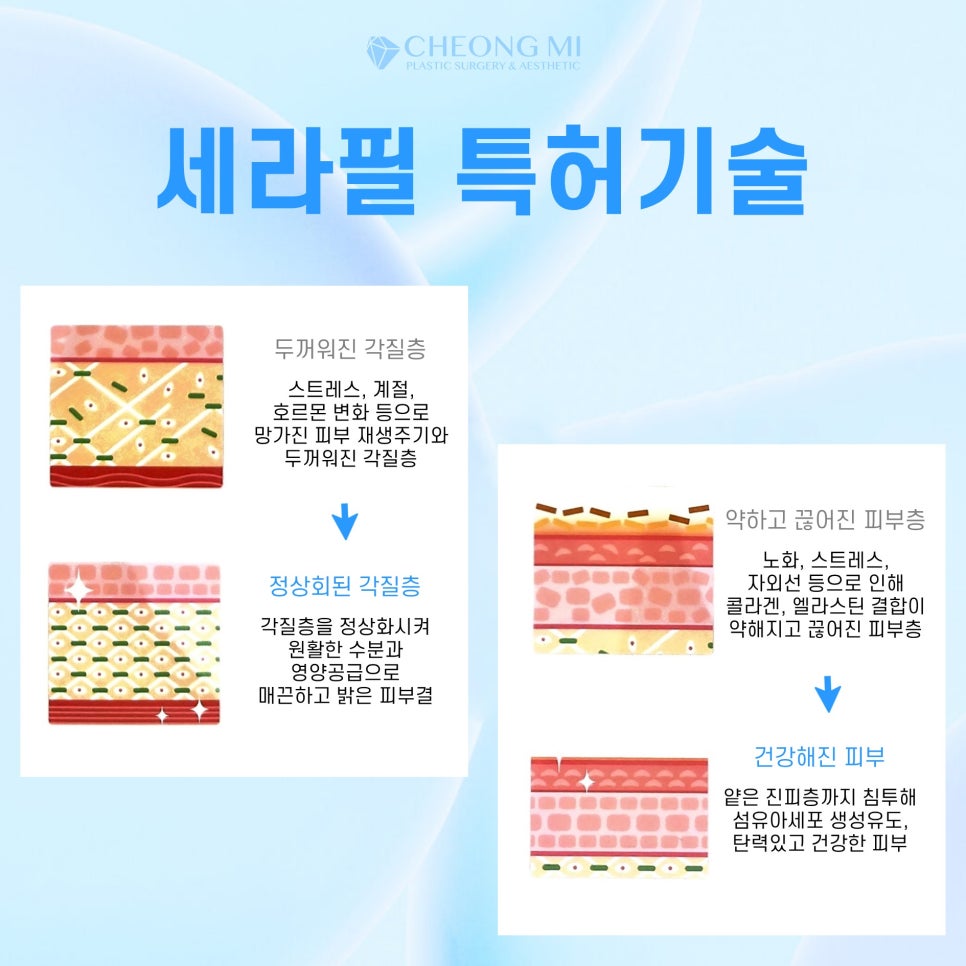 세라필의원 이미지
