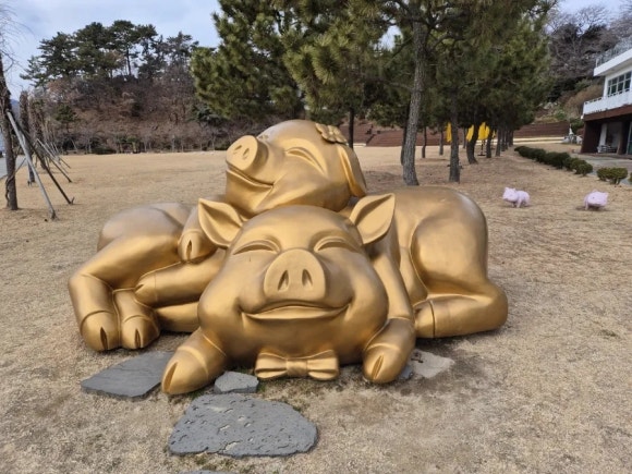 모든카써비스 이미지