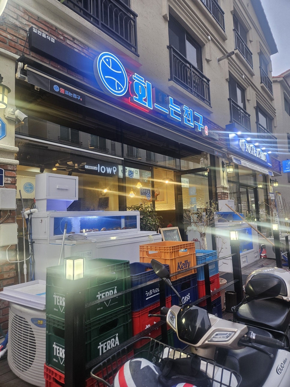 회뜨는친구 이미지