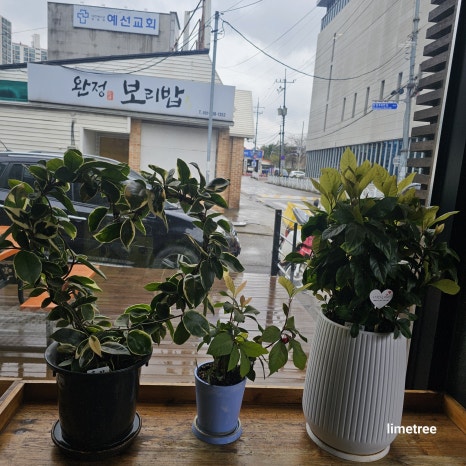 검단농협주유소 이미지