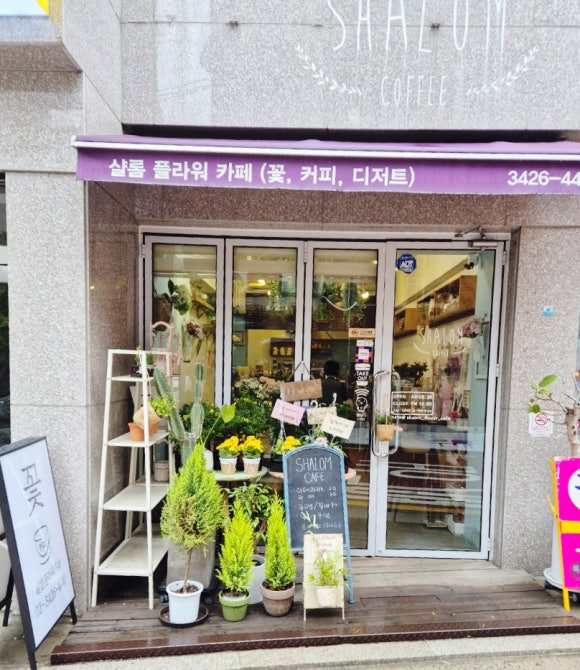 샬롬플라워 이미지