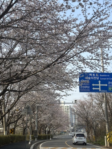 네일핌 이미지