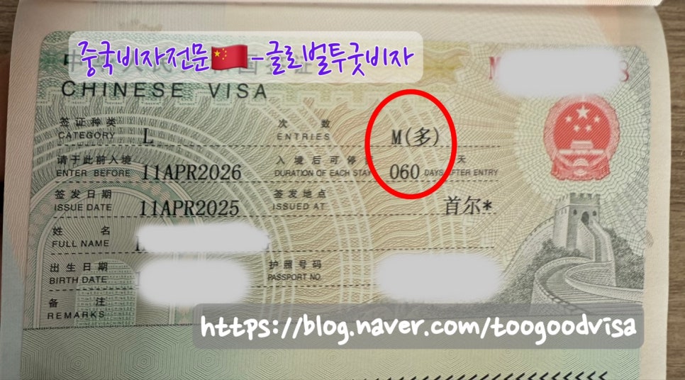 글로벌투굿비자 이미지
