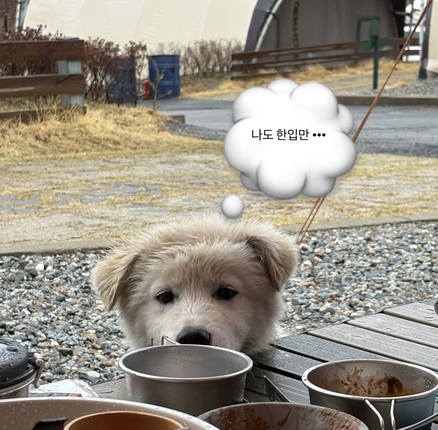미니마니모 이미지
