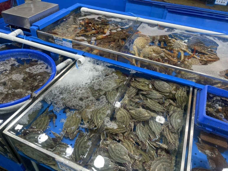 신일수산 이미지