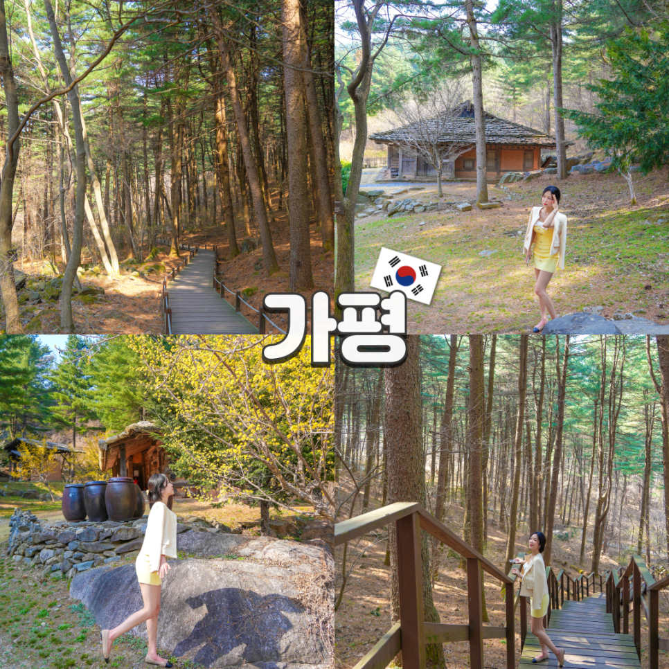 푸른숲 이미지