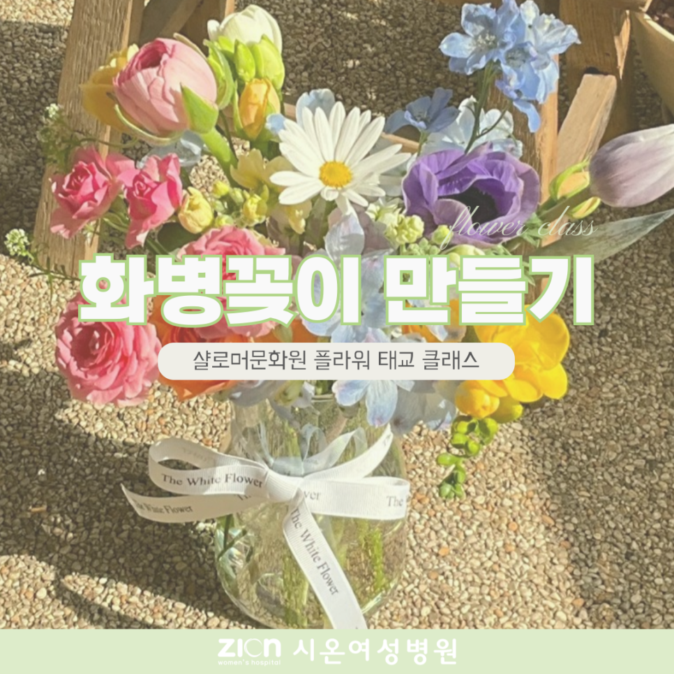 시온샬로머문화원 이미지