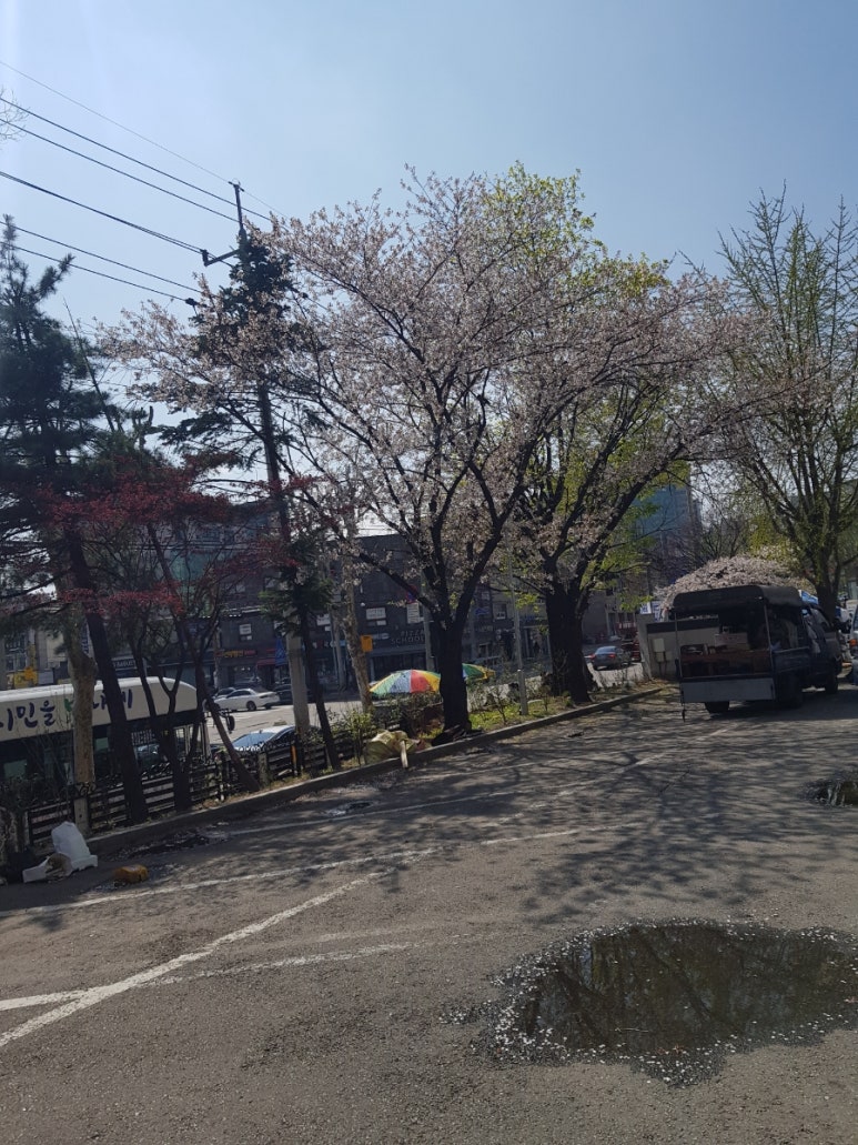 올래복권 이미지