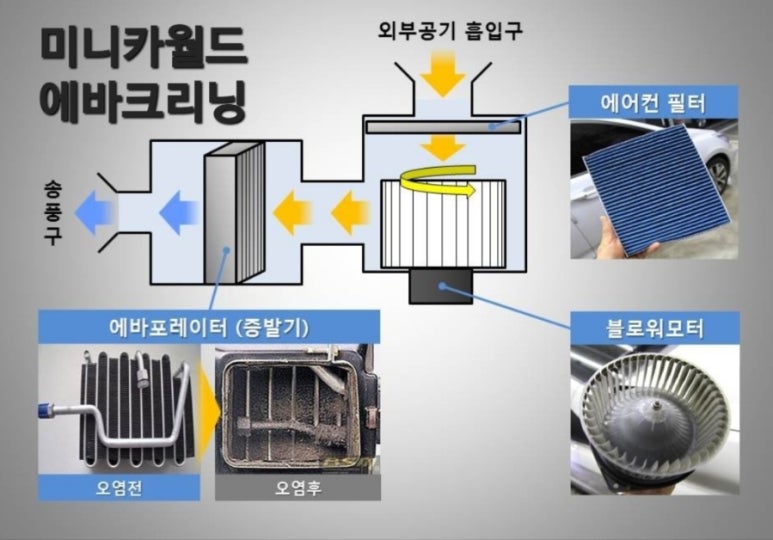 청주에바크리닝 이미지