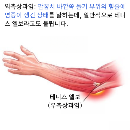 강남마디척의원 이미지