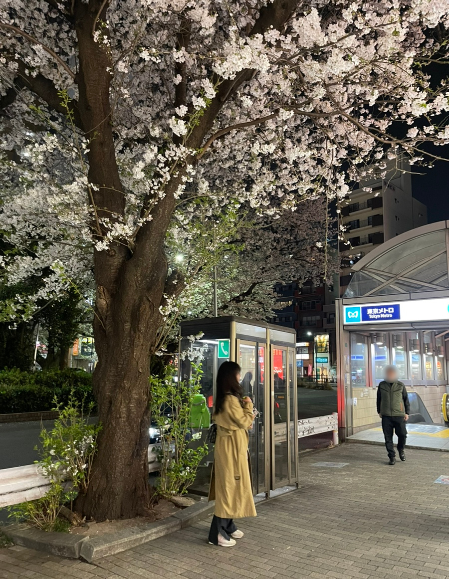 톤키 이미지