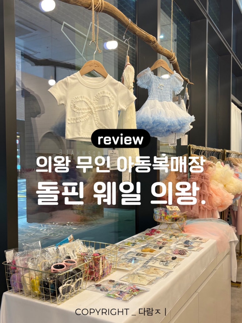 돌핀웨일 이미지