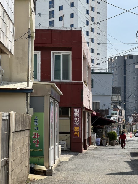 달맞이꽃 분식 이미지