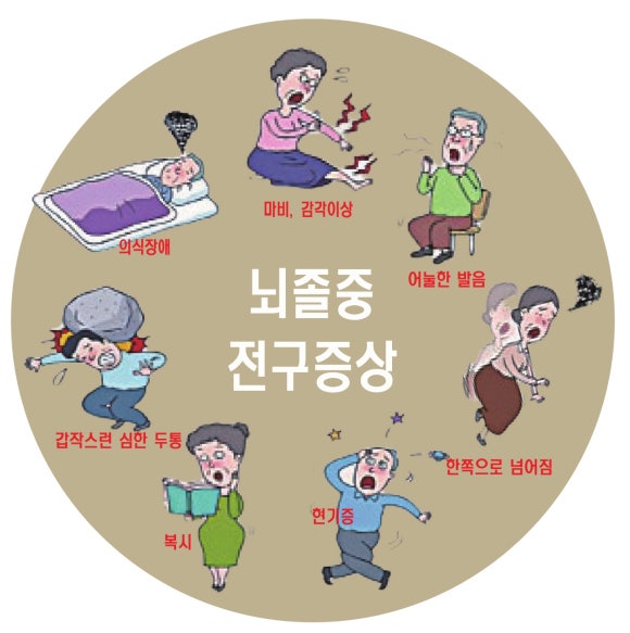 정성요양보호사교육원 이미지