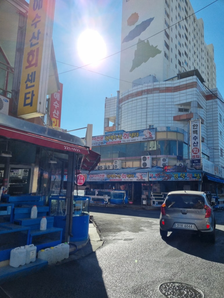 대성활어회센타 이미지
