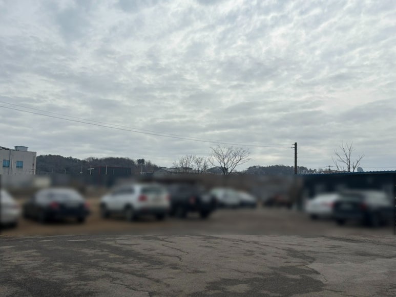 삼성낙지칼국수 이미지