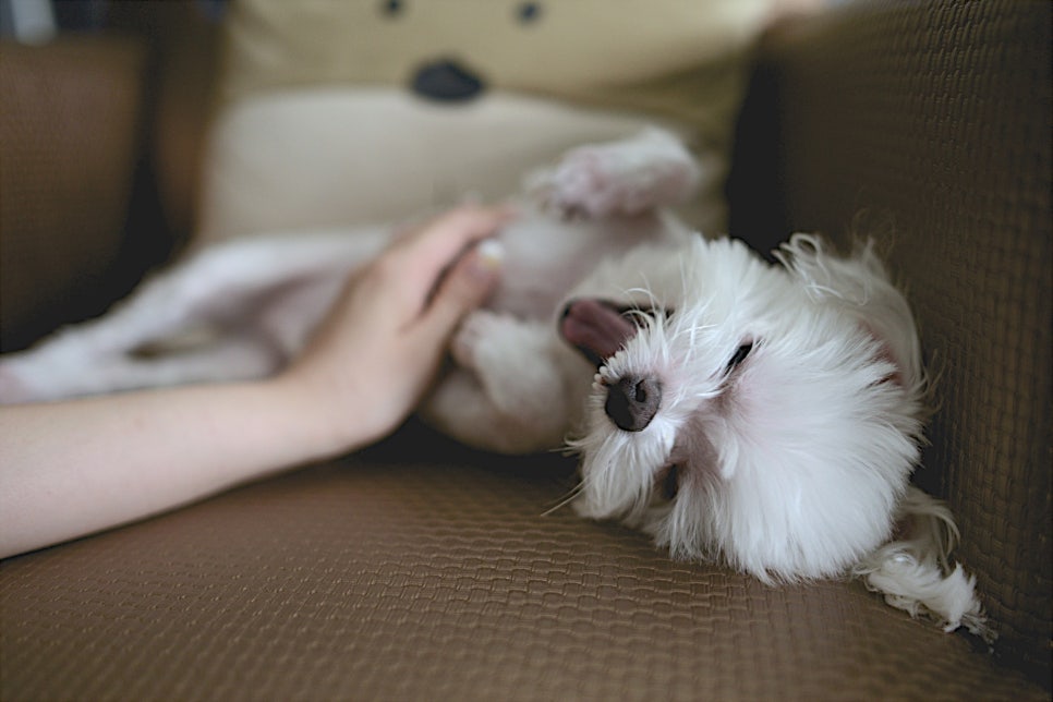 이엔컴퍼니 이미지