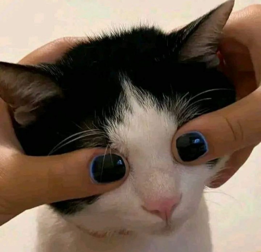 서이 이미지