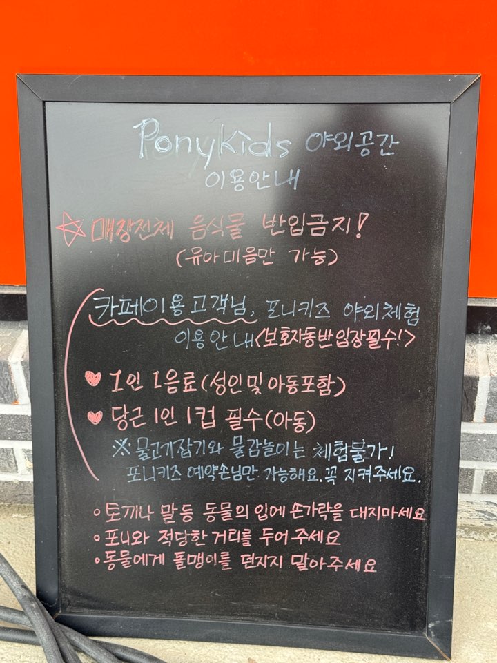 디포니 이미지
