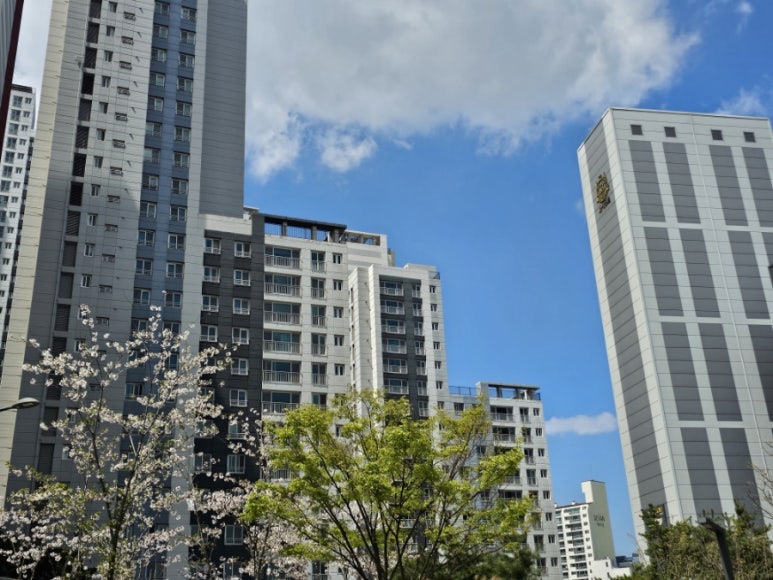 독산청소년문화의집 이미지