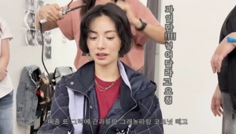 메종드그릭 이미지